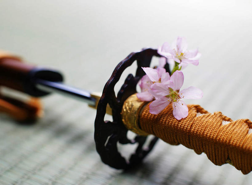 无人,横图,俯视,室内,特写,白天,幸福,纯洁,竞争,樱花,静物,一把,对抗,阴影,朦胧,模糊,锐利,盛开,冲突,反射,席子,影子,塌塌米,榻榻米,花蕾,破坏,花,花瓣,花朵,鲜花,粉色,花苞,花蕊,武器,战争,摄影,影棚,等待,损坏,锋利,尖锐,剑,攻击,生命,威胁,对立,矛盾,兵器,防御,尖利,敌对,挫败,斗争,抗拒,抗衡,仙樱花,福岛樱,青肤樱,杀伤,高尚,威慑,热烈,犀利,厉害,百兵之君,短兵,叠席,危险,荆桃,彩图,高角度拍摄,影棚拍摄,拍摄