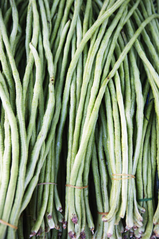 无人,竖图,俯视,室外,白天,植物,豆,蔬菜,一堆,许多,堆积,新鲜,豆类,豆子,食品,豆角,豇豆,食物,有机食品,绿色食品,堆,捆绑,羊角,豆科,饭豆,线豆,角豆,腰豆,长豆,带豆,江豆,绑缚,裙带豆,彩图,高角度拍摄