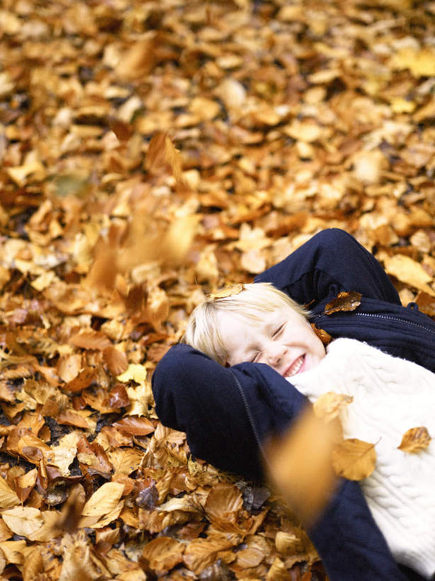 西方人,儿童,一个人,躺,笑,微笑,露齿笑,竖图,俯视,室外,白天,纯洁,秋季,叶子,欧洲,欧洲人,仅一个男性,仅一个人,许多,服装,枯叶,落叶,休闲装,小孩,衣服,黄色,蓝色,白色,仅一个小孩,休闲,休闲服,金色,可爱,童年,童趣,服饰,童真,烂漫,无邪,背手,天真,男孩,男人,男性,白种人,孩子,叶,叶片,秋,秋天,躺着,半身,彩图,高角度拍摄,短发,男生