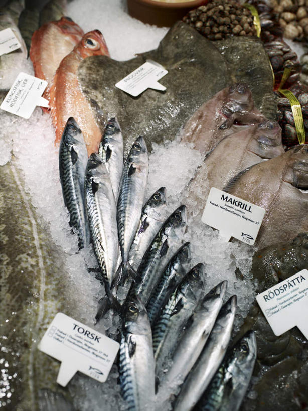 海鲜,无人,商店,竖图,俯视,室内,白天,购物,消费,超市,瑞典,欧洲,一排,许多,整齐,鱼,水产,鱼类,海洋生物,排列,金融,百货,斯堪的纳维亚,队列,北欧,水生动物,斯堪的纳维亚半岛,海产品,水生物,选购,贸易,百货公司,海底动物,血拼,瑞典王国,超级市场,大卖场,彩图,高角度拍摄,购物商场,购物中心,商业中心