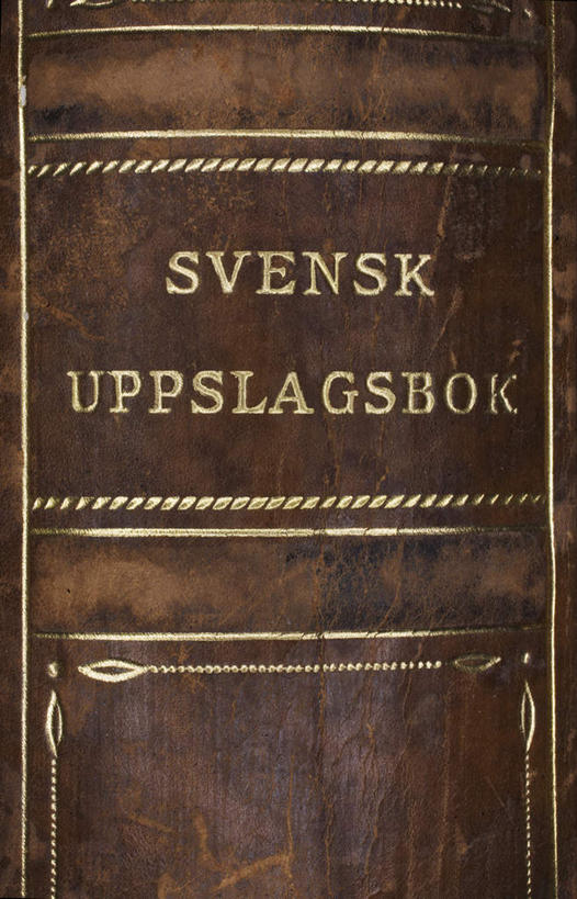 无人,竖图,俯视,室内,特写,白天,静物,书籍,一本,古老,英文,标志,文字,字符,字母,褐色,标识,英文字母,陈腐,书,图书,彩图,高角度拍摄,瑞典语