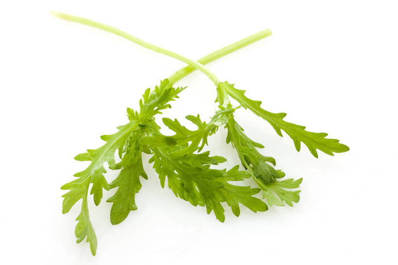 无人,横图,留白,白色背景,农业,蔬菜,静物,叶子,食品,茎,饮品,饮食,食物,饮料,绿色,摄影,有机食品,简单,可口,清新,健康食物,纯净,茼蒿,适口,彩图,影棚拍摄