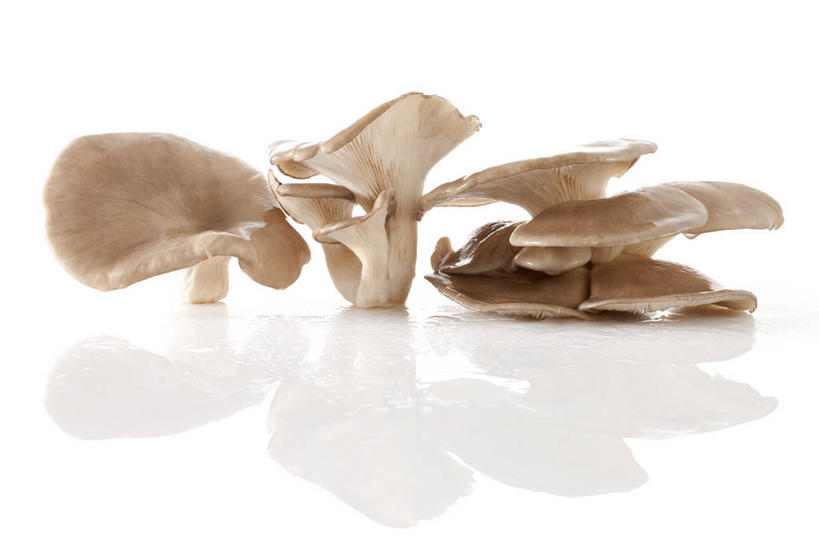 无人,横图,特写,留白,白色背景,农业,蔬菜,静物,北京,亚洲,准备,反射,蘑菇,生食,食品,饮品,饮食,食物,饮料,食用菌,摄影,有机食品,蚝蘑,简单,膳食,可口,清新,东亚,健康食物,纯净,适口,彩图,影棚拍摄