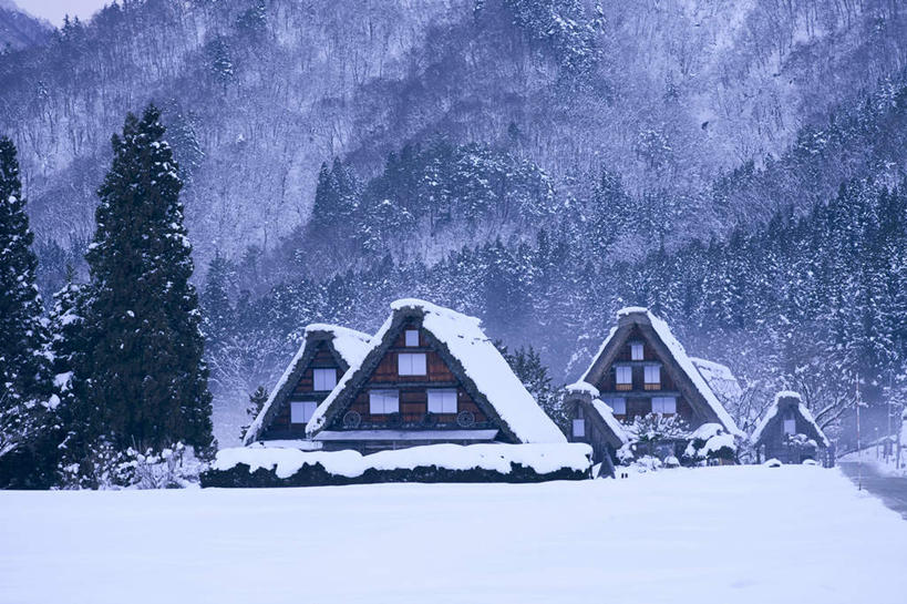 家,白天,美景,雪,建筑,亚洲,房屋,屋顶,屋子,草屋,地形,景观,乡村,冬天,顶棚,住宅,风景,自然,茅草屋,景色,建造,自然风光,彩图,房子,茅舍,茅屋,小屋