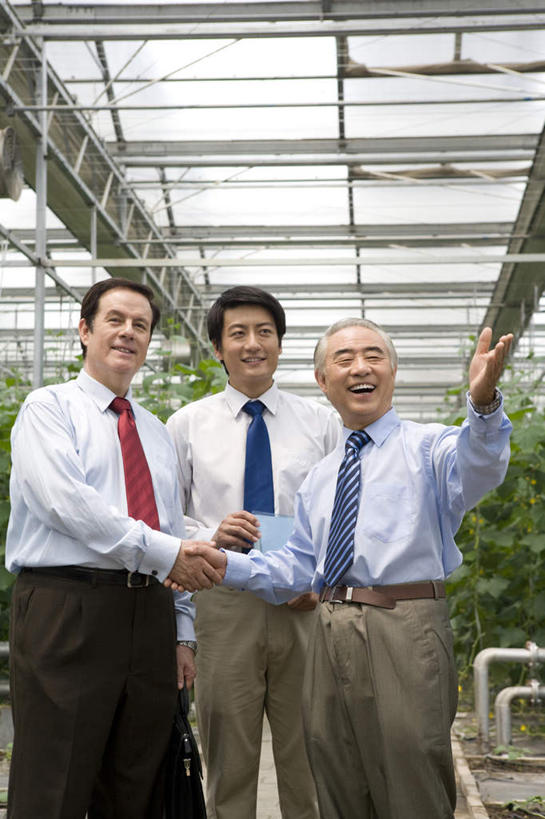 东方人,中年人,老年人,三个人,商务人士,农民,菜园,农场,握手,笑,微笑,露齿笑,竖图,白天,正面,快乐,幸福,成功,团队,农业,北京,中国,亚洲,种植,工作,温室,现代,夏天,手势,同意,摄影,生长,合伙,东亚,忠告,老年男性,男人,男性,年轻男性,亚洲人,中国人,年轻人,彩图,打手势,白色人种