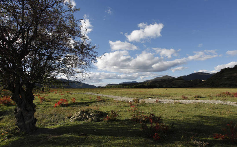 无人,横图,室外,美景,香格里拉,中国,亚洲,景观,草,树,自然,景色,摄影,自然风光,东亚,云南省,秋天,彩图