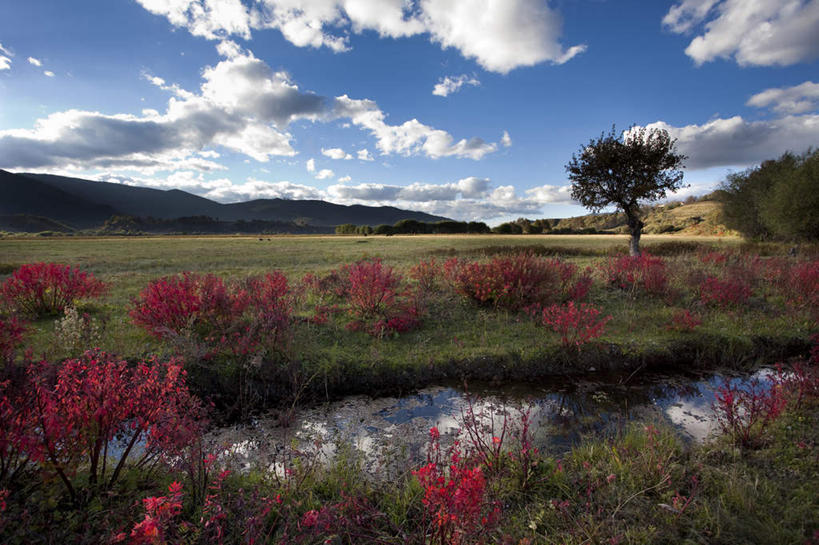 无人,横图,室外,美景,香格里拉,中国,亚洲,景观,自然,景色,摄影,自然风光,东亚,云南省,秋天,彩图