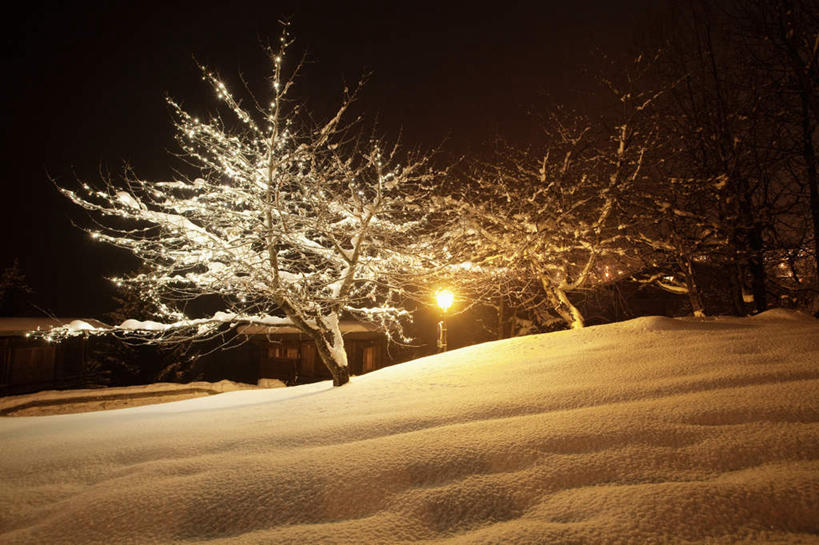 无人,横图,室外,夜晚,正面,旅游,度假,美景,山,雪,雪山,植物,大雪,路灯,照明,法国,欧洲,阴影,光线,影子,冰,积雪,景观,山峰,雪景,冬季,冬天,灯光,山峦,娱乐,灯,树,树木,绿色,自然,享受,休闲,景色,放松,寒冷,生长,成长,照亮,冰冷,照明设备,自然风光,法兰西共和国,法兰西第五共和国,严寒,冰凉,酷寒,凛冽,凛凛,极冷,彩图