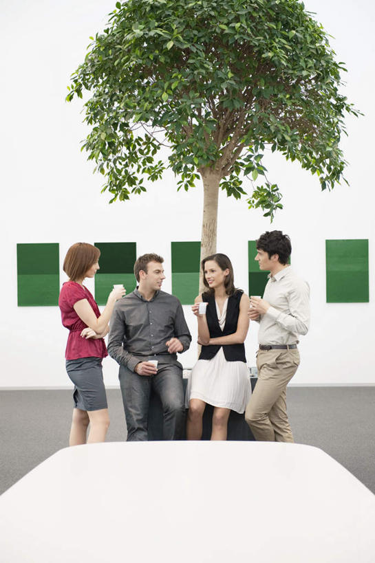 西方人,四个人,伙伴,朋友,商务人士,商务男性,商务女性,站,坐,笑,微笑,露齿笑,竖图,室内,白天,正面,衬衫,友谊,合作,团队,植物,窗户,杯子,欧洲,欧洲人,一棵,握,套装,墙,拿,拿着,注视,玻璃窗,墙壁,墙面,树,树木,绿色,白色,自然,纸制品,观察,看,站着,战略,握着,生长,成长,观看,纸杯,察看,关注,一次性杯子,商务装,工薪阶层,联合,合谋,配合,协作,男人,男性,年轻男性,年轻女性,女人,女性,白种人,白领,上班族,站立,坐着,半身,彩图,衬衣