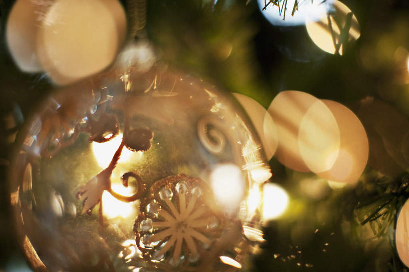 无人,横图,室内,特写,白天,正面,植物,静物,照明,圣诞节,吊挂,悬挂,阴影,节日,朦胧,模糊,庆祝,装饰,光线,彩灯,挂饰,影子,灯光,圣诞树,圣诞球,挂,文化,灯,球,树,树木,绿色,自然,灯具,庆典,球体,花灯,生长,成长,纪念,华丽,修饰,照亮,点缀,照明设备,衬托,美观,雅致,雅观,彩图