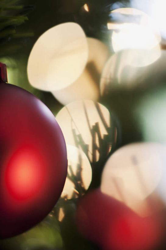 无人,竖图,室内,特写,白天,正面,植物,静物,照明,圣诞节,吊挂,悬挂,阴影,节日,朦胧,模糊,庆祝,装饰,光线,彩灯,挂饰,影子,灯光,圣诞树,圣诞球,挂,文化,灯,球,树,树木,绿色,自然,灯具,庆典,球体,花灯,生长,成长,纪念,华丽,修饰,照亮,点缀,照明设备,衬托,美观,雅致,雅观,彩图