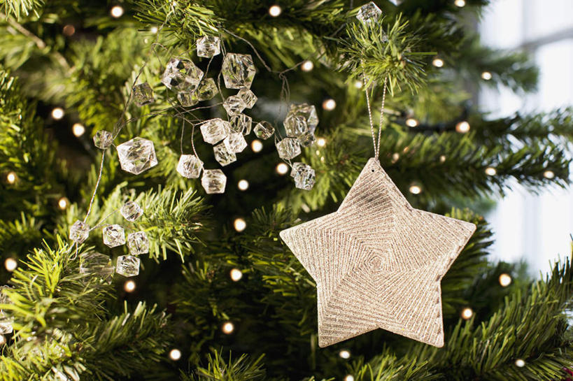 无人,横图,室内,特写,白天,正面,植物,静物,圣诞节,吊挂,悬挂,节日,朦胧,模糊,庆祝,装饰,星星,圣诞树,挂,文化,树,树木,绿色,自然,庆典,星形,生长,成长,纪念,华丽,修饰,点缀,五角形,衬托,美观,雅致,雅观,五角星,彩图