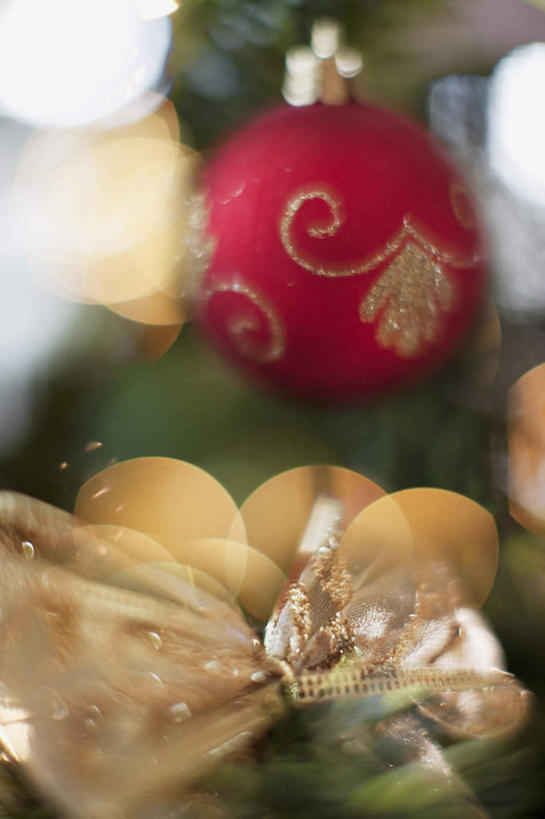 无人,竖图,室内,特写,白天,正面,植物,静物,圣诞节,吊挂,悬挂,节日,朦胧,模糊,庆祝,装饰,挂饰,圣诞树,圣诞球,挂,文化,球,树,树木,绿色,自然,庆典,球体,生长,成长,纪念,华丽,修饰,点缀,衬托,美观,雅致,雅观,彩图