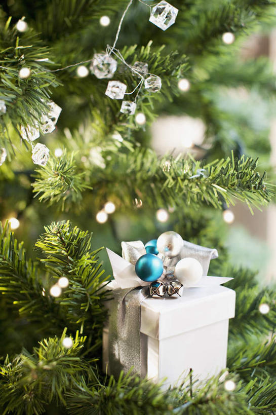 无人,竖图,室内,特写,白天,正面,植物,静物,礼盒,礼物,照明,圣诞节,吊挂,悬挂,节日,朦胧,模糊,庆祝,装饰,包装,包装纸,彩灯,丝绸,丝带,纸,纸盒,灯光,圣诞树,缎带,圣诞球,纸张,挂,文化,绸带,灯,盒子,球,树,树木,绿色,自然,包装盒,礼品盒,灯具,庆典,球体,花灯,礼品,生长,成长,纪念,华丽,修饰,照亮,点缀,包装材料,牛皮纸,照明设备,衬托,美观,雅致,雅观,彩图