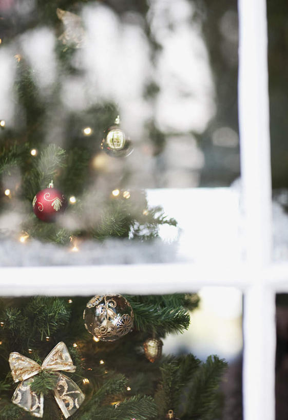 无人,家,竖图,室外,白天,正面,植物,窗户,圣诞节,吊挂,悬挂,节日,朦胧,模糊,庆祝,装饰,挂饰,房屋,屋子,圣诞树,圣诞球,挂,文化,楼房,玻璃窗,住宅,球,树,树木,绿色,自然,庆典,球体,生长,成长,纪念,华丽,修饰,点缀,衬托,美观,雅致,雅观,彩图,房子