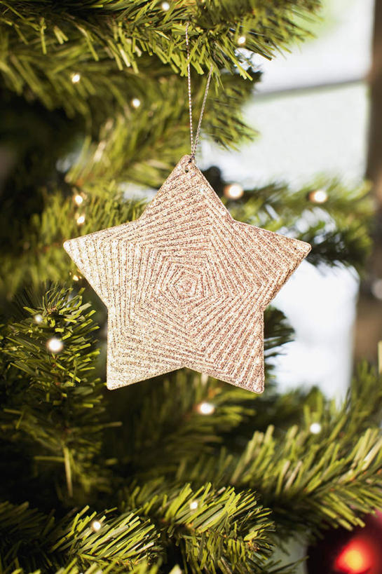 无人,竖图,室内,特写,白天,正面,植物,静物,照明,圣诞节,吊挂,悬挂,阴影,节日,朦胧,模糊,庆祝,装饰,光线,彩灯,挂饰,影子,星星,灯光,圣诞树,圣诞球,挂,文化,灯,球,树,树木,绿色,自然,灯具,庆典,球体,星形,花灯,生长,成长,纪念,华丽,修饰,照亮,点缀,照明设备,五角形,衬托,美观,雅致,雅观,五角星,彩图