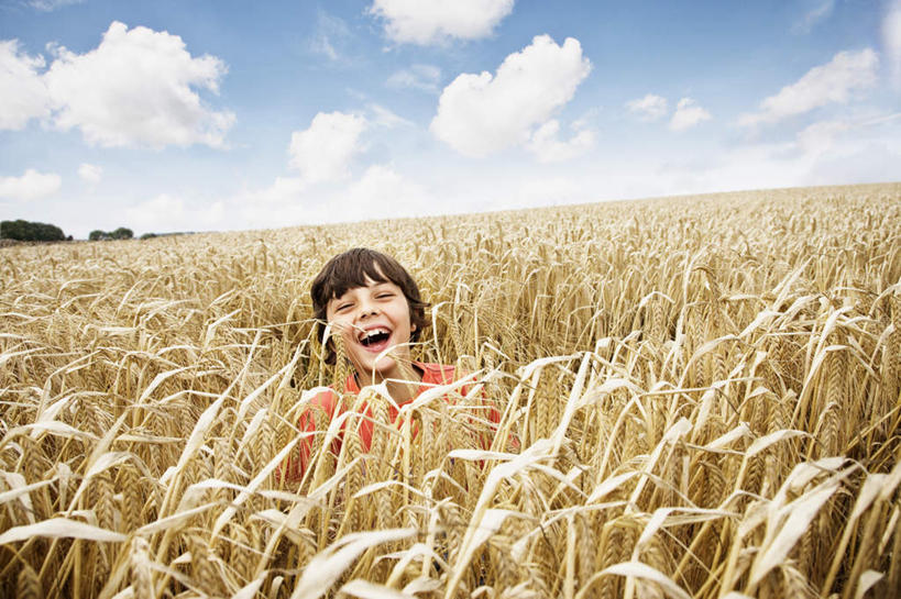 西方人,儿童,一个人,农田,坐,笑,大笑,横图,室外,白天,正面,兴奋,纯洁,农业,庄稼,农作物,欧洲,欧洲人,仅一个女性,仅一个人,阴影,服装,丰收,光线,影子,稻田,地平线,云,云朵,辽阔,地面,云彩,注视,休闲装,小孩,衣服,蓝色,白云,蓝天,天空,阳光,天,观察,看,张嘴,仅一个小孩,休闲,广阔,休闲服,可爱,童年,童趣,服饰,收获,晴朗,观看,一望无际,察看,关注,延伸,张大嘴巴,童真,烂漫,无邪,天地相交,哈哈大笑,无边无际,一马平川,天真,女孩,女人,女性,白种人,孩子,晴空,张开嘴,坐着,半身,彩图,高兴,狂笑,耕地,庄稼田,女生