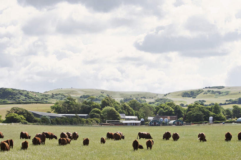 无人,农场,站,横图,室外,白天,正面,旅游,度假,畜牧业,牧场,草地,草坪,石头,美景,山,山脉,植物,牛,一群,许多,阴影,光线,石子,影子,景观,山顶,山峰,云,云朵,山峦,很多,云彩,注视,娱乐,草,树,树木,蓝色,绿色,白云,蓝天,天空,阳光,自然,动物,群山,天,观察,看,站着,享受,休闲,家畜,景色,放松,牲畜,生长,晴朗,成长,观看,察看,关注,自然风光,沉积岩,畜牧,牧业,颠峰,极峰,水成岩,石块,岩石,晴空,站立,彩图,全身