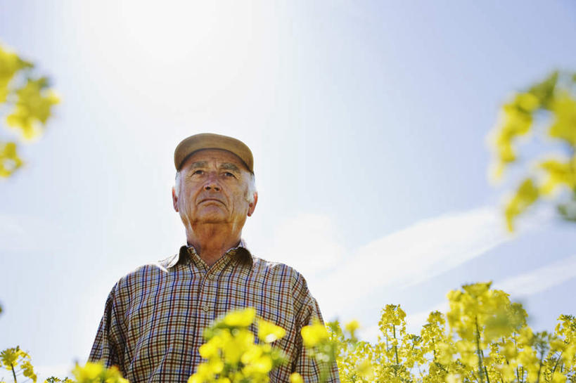 西方人,一个人,农民,农田,站,横图,室外,白天,仰视,庄稼,农作物,花海,花圃,植物,帽子,叶子,欧洲,欧洲人,仅一个男性,仅一个人,阴影,服装,盛开,光线,影子,云,云朵,花蕾,云彩,注视,休闲装,运动帽,花,花瓣,花朵,花卉,鲜花,衣服,蓝色,绿色,白云,蓝天,天空,阳光,花丛,花束,花田,天,花苞,花蕊,油菜花,观察,看,站着,仅一个老年男性,休闲,休闲服,鸭舌帽,服饰,晴朗,观看,察看,关注,老年男性,男人,男性,白种人,晴空,佃农,农场主,农夫,农工,乡下人,小农,庄稼人,站立,半身,彩图,低角度拍摄,耕地,庄稼田,芸苔,芸薹