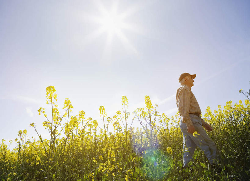 西方人,一个人,农民,农田,走,横图,室外,白天,仰视,庄稼,农作物,花海,花圃,植物,帽子,叶子,欧洲,欧洲人,仅一个男性,仅一个人,阴影,服装,盛开,光线,影子,云,云朵,花蕾,云彩,注视,休闲装,运动帽,花,花瓣,花朵,花卉,鲜花,衣服,蓝色,绿色,白云,蓝天,天空,阳光,花丛,花束,花田,天,花苞,花蕊,油菜花,观察,看,仅一个老年男性,休闲,休闲服,鸭舌帽,服饰,晴朗,观看,察看,关注,老年男性,男人,男性,白种人,晴空,佃农,农场主,农夫,农工,乡下人,小农,庄稼人,步行,散步,走路,半身,彩图,低角度拍摄,耕地,庄稼田,芸苔,芸薹