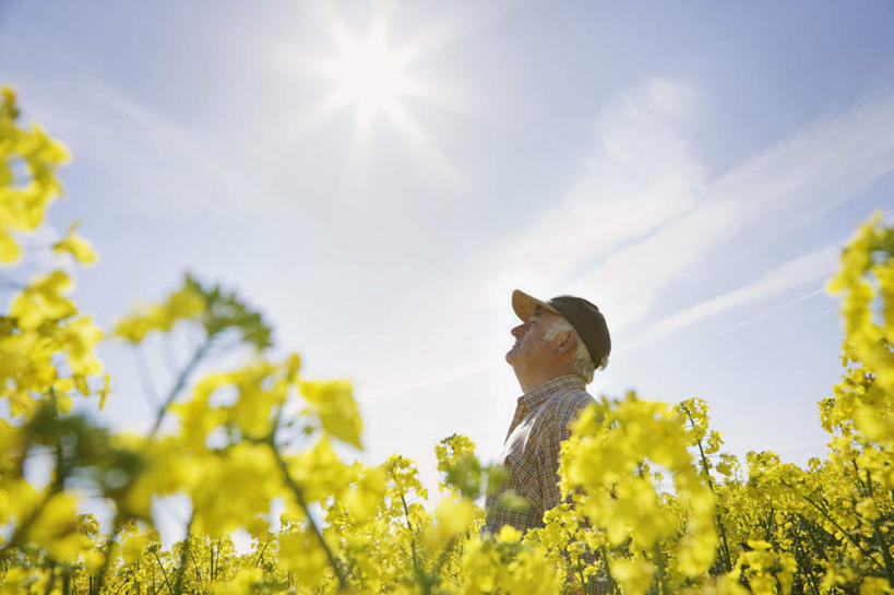 西方人,一个人,农民,农田,站,横图,室外,白天,仰视,庄稼,农作物,花海,花圃,植物,帽子,叶子,欧洲,欧洲人,仅一个男性,仅一个人,阴影,服装,盛开,光线,影子,云,云朵,花蕾,云彩,注视,休闲装,运动帽,花,花瓣,花朵,花卉,鲜花,衣服,蓝色,绿色,白云,蓝天,天空,阳光,花丛,花束,花田,天,花苞,花蕊,油菜花,观察,看,站着,仅一个老年男性,休闲,休闲服,鸭舌帽,服饰,晴朗,观看,察看,关注,老年男性,男人,男性,白种人,晴空,佃农,农场主,农夫,农工,乡下人,小农,庄稼人,抬头,仰头,站立,半身,彩图,低角度拍摄,耕地,庄稼田,芸苔,芸薹