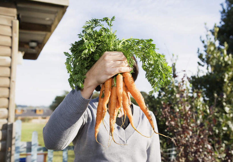 西方人,一个人,农民,家,木屋,站,横图,室外,白天,正面,植物,萝卜,胡萝卜,蔬菜,欧洲,欧洲人,仅一个女性,仅一个人,握,阴影,服装,新鲜,光线,影子,云,云朵,食品,拿,云彩,拿着,休闲装,住宅,树,树木,食物,衣服,蓝色,绿色,白云,蓝天,天空,阳光,自然,天,站着,仅一个中年女性,休闲,休闲服,握着,遮,遮掩,服饰,有机食品,绿色食品,生长,晴朗,成长,掩盖,遮挡,遮盖,掩饰,女人,女性,中年女性,白种人,晴空,红萝卜,甘荀,佃农,农场主,农夫,农工,乡下人,小农,庄稼人,站立,半身,彩图,茅舍,茅屋,棚屋,小木屋,小屋