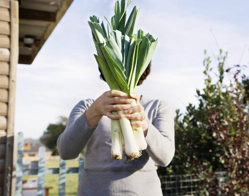 西方人,一个人,农民,家,木屋,站,横图,室外,白天,正面,植物,蔬菜,欧洲,欧洲人,仅一个女性,仅一个人,握,阴影,服装,新鲜,光线,影子,云,云朵,韭菜,食品,拿,云彩,拿着,休闲装,住宅,树,树木,食物,衣服,蓝色,绿色,白云,蓝天,天空,阳光,自然,天,站着,仅一个中年女性,休闲,休闲服,握着,遮,遮掩,服饰,有机食品,绿色食品,生长,晴朗,成长,掩盖,遮挡,起阳草,遮盖,韭,山韭,长生韭,掩饰,女人,女性,中年女性,白种人,晴空,佃农,农场主,农夫,农工,乡下人,小农,庄稼人,站立,半身,彩图,茅舍,茅屋,棚屋,小木屋,小屋