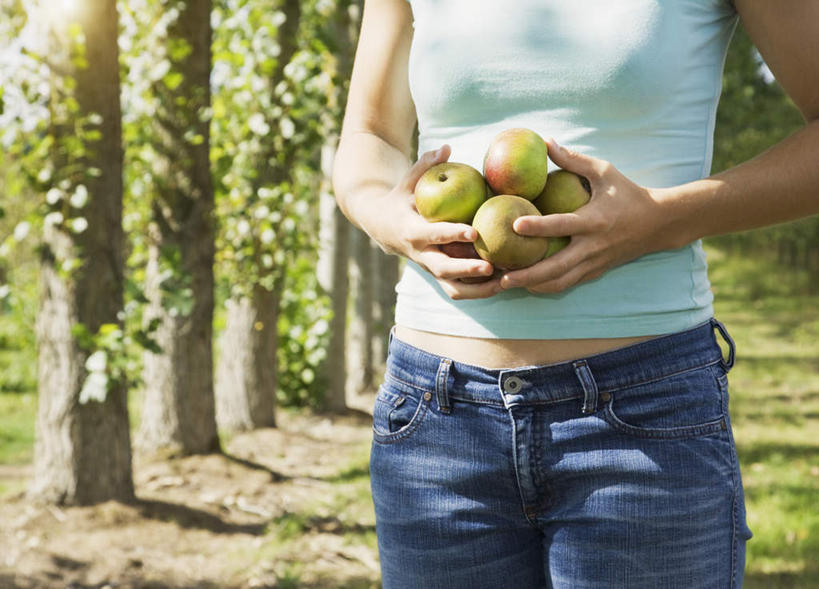 西方人,一个人,果园,站,捧,横图,室外,白天,正面,田园,植物,苹果,水果,欧洲,欧洲人,仅一个年轻女性,仅一个女性,仅一个人,阴影,服装,裤子,新鲜,光线,影子,生食,食品,果实,果树,牛仔裤,休闲装,树,树木,食物,衣服,绿色,阳光,自然,站着,休闲,休闲服,服饰,有机食品,绿色食品,生长,成长,田庄,园子,年轻女性,女人,女性,白种人,端,端着,捧着,手捧,站立,半身,彩图