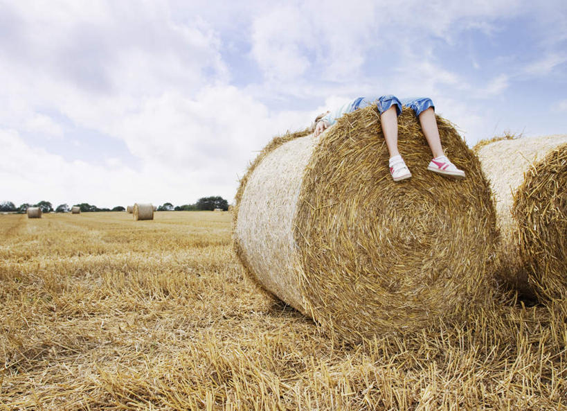 西方人,儿童,一个人,农田,躺,横图,室外,白天,正面,纯洁,庄稼,农作物,欧洲,欧洲人,仅一个女性,仅一个人,服装,云,云朵,干草,云彩,休闲装,小孩,衣服,蓝色,白云,蓝天,天空,草垛,天,仅一个小孩,休闲,休闲服,可爱,童年,童趣,服饰,晴朗,童真,烂漫,无邪,干草垛,卧着,天真,女孩,女人,女性,白种人,孩子,晴空,躺着,卧,彩图,全身,耕地,庄稼田,女生