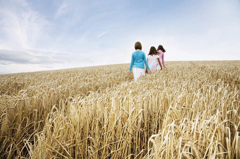 西方人,儿童,三个人,家庭,农田,走,横图,室外,白天,纯洁,农业,庄稼,农作物,欧洲,欧洲人,一排,服装,整齐,稻田,云,云朵,云彩,休闲装,排列,小孩,背面,衣服,蓝色,白云,蓝天,天空,天,休闲,温暖,温馨,一家人,休闲服,可爱,童年,童趣,服饰,晴朗,和睦,队列,童真,烂漫,无邪,天真,女孩,女人,女性,白种人,晴空,步行,散步,走路,彩图,全身,耕地,庄稼田,融洽,女生