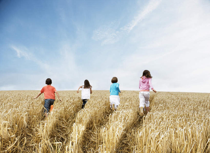 西方人,儿童,四个人,家庭,农田,走,横图,室外,白天,纯洁,农业,庄稼,农作物,欧洲,欧洲人,一排,服装,整齐,稻田,云,云朵,云彩,休闲装,排列,小孩,背面,衣服,蓝色,白云,蓝天,天空,天,休闲,温暖,温馨,一家人,休闲服,可爱,童年,童趣,服饰,晴朗,和睦,队列,童真,烂漫,无邪,天真,男孩,男人,男性,女孩,女人,女性,白种人,晴空,步行,散步,走路,彩图,全身,耕地,庄稼田,融洽,男生,女生