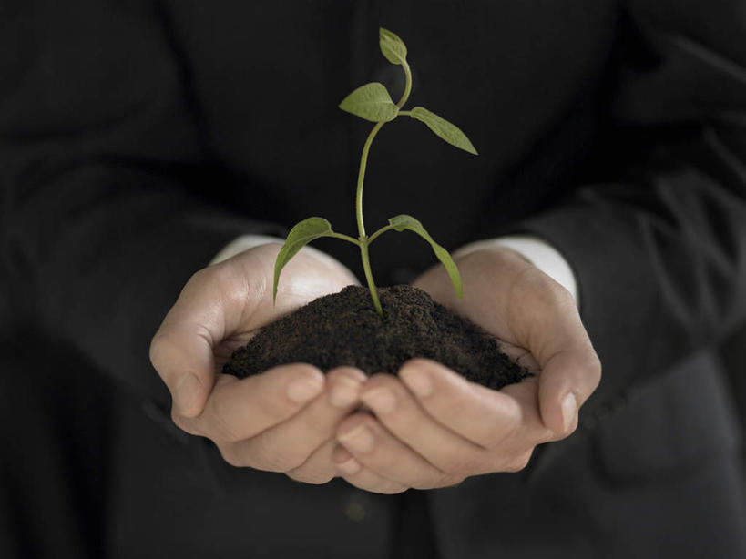 西方人,手,一个人,商务人士,商务男性,站,捧,横图,室内,特写,白天,正面,衬衫,植物,叶子,欧洲,欧洲人,双手,仅一个男性,仅一个人,阴影,套装,反射,影子,泥土,土壤,绿叶,仅一个年轻男性,绿色,自然,站着,手部,嫩叶,生长,成长,商务装,工薪阶层,男人,男性,年轻男性,白种人,白领,上班族,叶,叶片,端,端着,捧着,手捧,站立,半身,彩图,衬衣