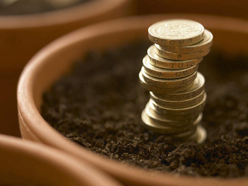 无人,横图,俯视,室内,特写,白天,钱,植物,一排,朦胧,模糊,整齐,盆栽,钱币,泥土,土壤,棕色,盆景,排列,绿色,自然,金融,生长,经济,英镑,成长,堆,队列,流通,贸易,货币,现金,硬币,彩图,高角度拍摄