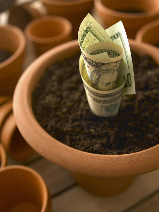 无人,竖图,俯视,室内,特写,白天,钱,植物,朦胧,模糊,盆栽,钱币,泥土,土壤,棕色,盆景,绿色,自然,钞票,金融,纸币,生长,经济,成长,流通,纸钞,贸易,货币,现金,彩图,高角度拍摄