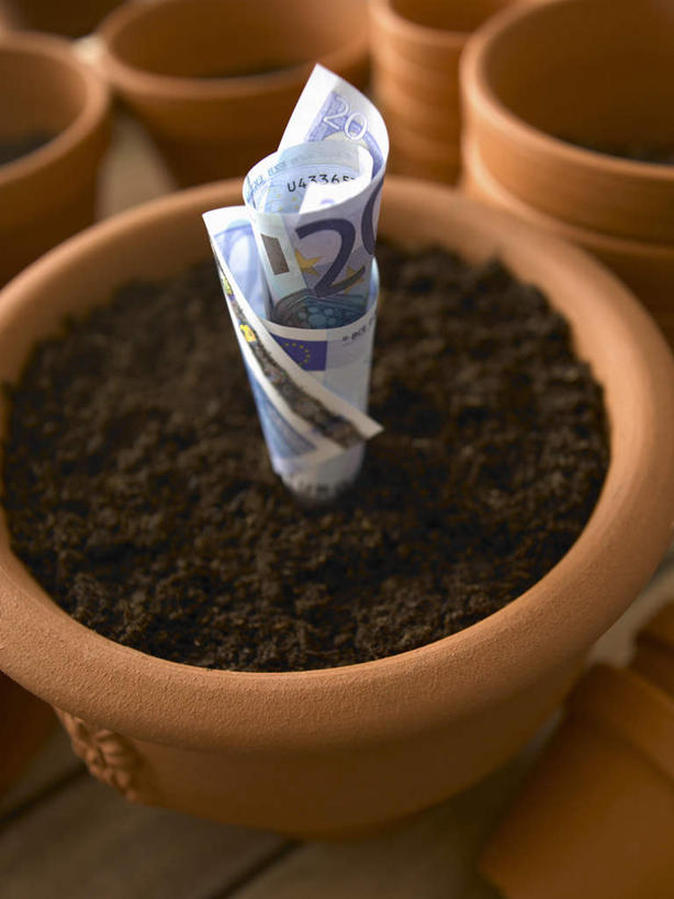 无人,竖图,俯视,室内,特写,白天,钱,植物,朦胧,模糊,盆栽,钱币,泥土,土壤,棕色,盆景,绿色,自然,钞票,金融,纸币,生长,经济,成长,流通,纸钞,贸易,货币,现金,彩图,高角度拍摄