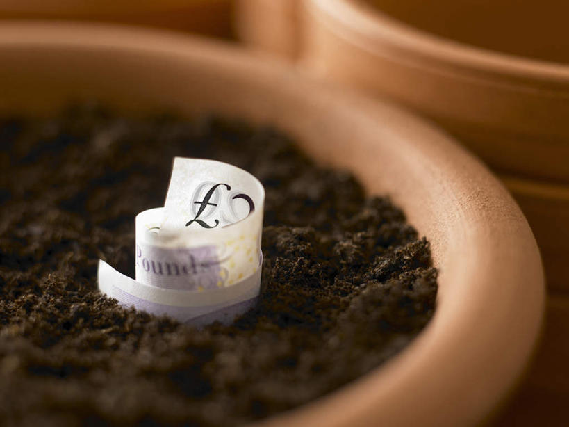 无人,横图,俯视,室内,特写,白天,钱,植物,朦胧,模糊,盆栽,钱币,泥土,土壤,棕色,盆景,绿色,自然,钞票,金融,纸币,生长,经济,成长,流通,纸钞,贸易,货币,现金,彩图,高角度拍摄