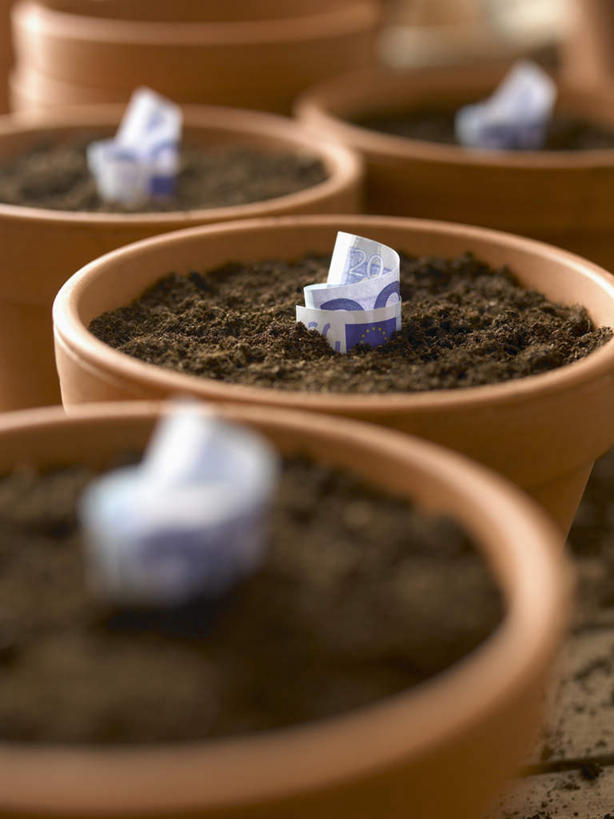 无人,竖图,俯视,室内,特写,白天,钱,植物,朦胧,模糊,盆栽,钱币,泥土,土壤,棕色,盆景,绿色,自然,钞票,金融,纸币,生长,经济,成长,流通,纸钞,贸易,货币,现金,彩图,高角度拍摄