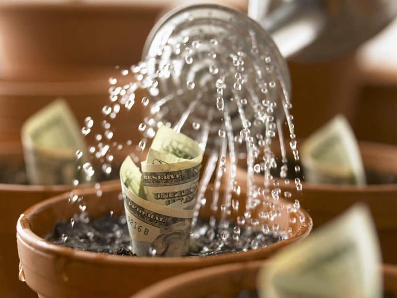 无人,横图,俯视,室内,特写,白天,钱,水,植物,飞溅,朦胧,模糊,溅,盆栽,钱币,液体,泥土,水滴,土壤,棕色,盆景,花洒,莲蓬头,水珠,绿色,自然,钞票,金融,纸币,生长,经济,成长,喷洒,流通,纸钞,贸易,喷雾头,货币,现金,彩图,高角度拍摄