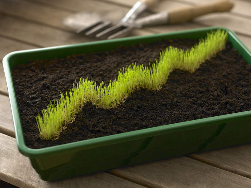 无人,横图,俯视,室内,特写,白天,数据,草地,植物,叶子,金属制品,环保,朦胧,模糊,分析,曲线,金属,铲子,盆栽,图表,纹理,泥土,土壤,棕色,绿叶,表格,盆景,草,绿色,自然,嫩叶,K线图,生长,能源,成长,统计,回收,折线,资源,指标,销售,目标,业绩,利用,折线图,低碳,循环,肌理,持续,K线,蜡烛图,叶,叶片,叶脉,彩图,高角度拍摄