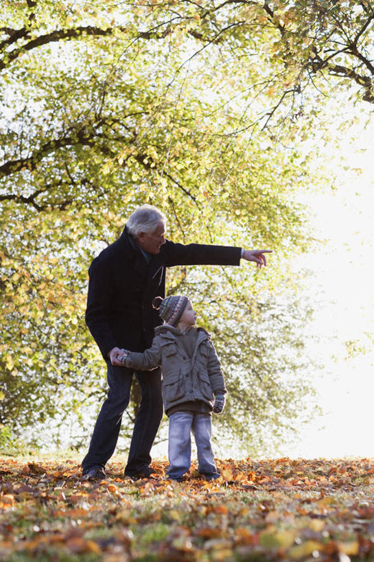 西方人,儿童,老年人,两个人,家庭,祖父,站,举,握手,竖图,室外,白天,仰视,纯洁,草地,草坪,植物,帽子,叶子,欧洲,欧洲人,阴影,服装,朦胧,模糊,装饰,光线,影子,枫叶,枯叶,落叶,扭头,注视,休闲装,草,树,树木,小孩,衣服,黄色,红色,绿色,阳光,自然,围巾,观察,看,托,站着,转头,休闲,温暖,温馨,一家人,休闲服,可爱,童年,童趣,服饰,生长,爷爷,成长,围脖,观看,祖孙,枫树叶,保暖,华丽,点缀,和睦,察看,御寒,关注,童真,烂漫,无邪,外公,外祖父,外孙,外孙子,衬托,美观,雅致,雅观,编织帽,天真,老年男性,男孩,男人,男性,白种人,孩子,孙子,叶,叶片,搀手,举起,举手,举着,拉手,手拉手,手握手,向上举,向上伸,向上托,站立,彩图,低角度拍摄,全身,融洽,男生
