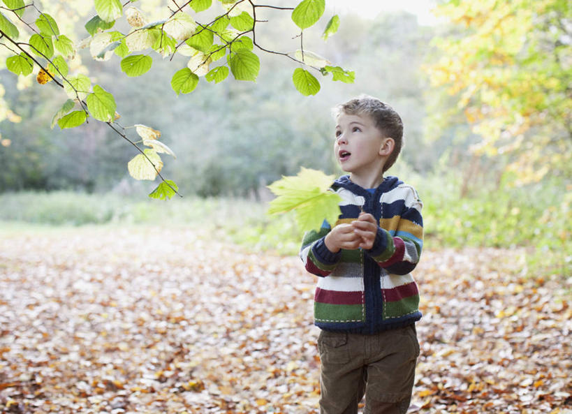西方人,儿童,一个人,走,笑,微笑,露齿笑,横图,室外,白天,正面,纯洁,植物,叶子,欧洲,欧洲人,仅一个男性,仅一个人,握,服装,朦胧,模糊,枯叶,落叶,枝条,拿,拿着,注视,休闲装,树,树木,树枝,小孩,衣服,绿色,自然,观察,看,仅一个小孩,休闲,休闲服,可爱,童年,童趣,握着,服饰,生长,成长,观看,察看,关注,童真,烂漫,无邪,虬枝,枝杈,天真,男孩,男人,男性,白种人,孩子,叶,叶片,步行,散步,走路,半身,彩图,男生