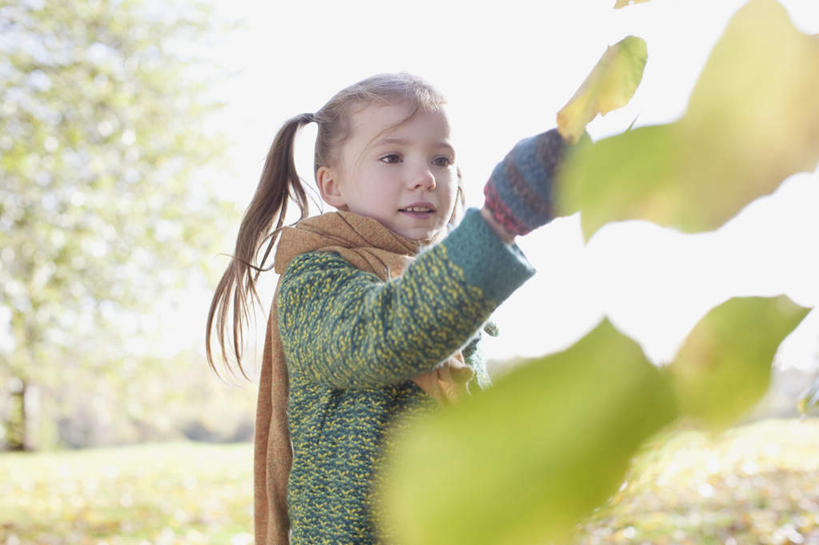 西方人,儿童,一个人,站,投,笑,微笑,露齿笑,横图,室外,白天,正面,纯洁,草地,草坪,植物,叶子,欧洲,欧洲人,仅一个女性,仅一个人,握,阴影,服装,朦胧,模糊,装饰,光线,影子,枫叶,枯叶,落叶,拿,拿着,注视,休闲装,草,树,树木,小孩,衣服,黄色,红色,绿色,阳光,自然,手套,围巾,观察,看,站着,仅一个小孩,休闲,温暖,休闲服,可爱,童年,童趣,握着,服饰,生长,成长,围脖,观看,枫树叶,保暖,华丽,点缀,察看,御寒,关注,童真,烂漫,无邪,衬托,美观,雅致,雅观,天真,女孩,女人,女性,白种人,孩子,叶,叶片,抛,扔,撒,站立,掷,半身,彩图,女生