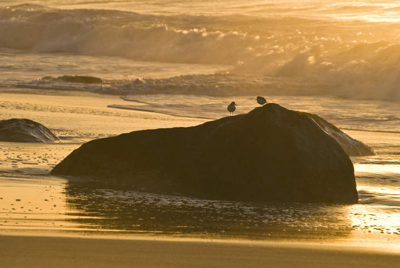 无人,站,横图,俯视,室外,白天,旅游,度假,海浪,海洋,石头,美景,日落,鸟,美国,阴影,飞溅,溅,光线,鸟类,石子,液体,影子,海面,景观,浪花,水滴,晚霞,霞光,落日,背光,注视,娱乐,水珠,阳光,自然,海水,黄昏,观察,看,站着,两只,享受,休闲,景色,彩霞,放松,观看,涨潮,碰撞,察看,北美,北美洲,关注,喷洒,自然风光,美洲,逆光,海景,海潮,沉积岩,马萨诸塞州,麻州,麻省,马萨诸塞,麻塞诸塞,老殖民地,海湾之州,北亚美利加洲,亚美利加洲,马撒葡萄园岛,马萨葡萄园岛,潮水,潮汐,落潮,夕照,水成岩,玛莎葡萄园岛,大海,风浪,海,海水的波动,近岸浪,石块,岩石,涌浪,夕阳,站立,彩图,高角度拍摄,全身,斜阳