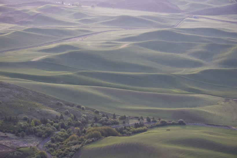 无人,农田,横图,俯视,航拍,室外,白天,旅游,度假,庄稼,农作物,草地,草坪,石头,美景,山,山脉,植物,雾,华盛顿,美国,朦胧,模糊,石子,景观,山顶,山峰,山峦,娱乐,草,绿色,自然,群山,享受,休闲,景色,放松,迷雾,北美,北美洲,鸟瞰,自然风光,美洲,华盛顿州,沉积岩,常绿之州,常青州,北亚美利加洲,亚美利加洲,颠峰,极峰,水成岩,石块,岩石,大雾,彩图,高角度拍摄,耕地,庄稼田