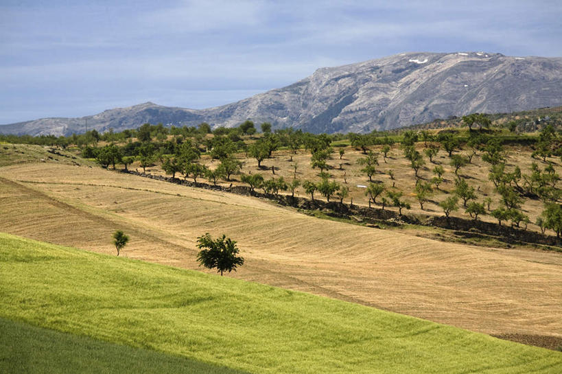 无人,农田,横图,室外,白天,正面,旅游,度假,庄稼,农作物,草地,草坪,石头,美景,山,山脉,植物,西班牙,欧洲,阴影,光线,石子,影子,景观,山顶,山峰,云,云朵,山峦,云彩,娱乐,安达卢西亚,草,树,树木,蓝色,绿色,白云,蓝天,天空,阳光,自然,群山,天,享受,休闲,景色,放松,生长,晴朗,成长,南欧,自然风光,安达鲁西亚,沉积岩,西班牙王国,安达卢西亚自治区,颠峰,极峰,水成岩,石块,岩石,晴空,彩图,耕地,庄稼田