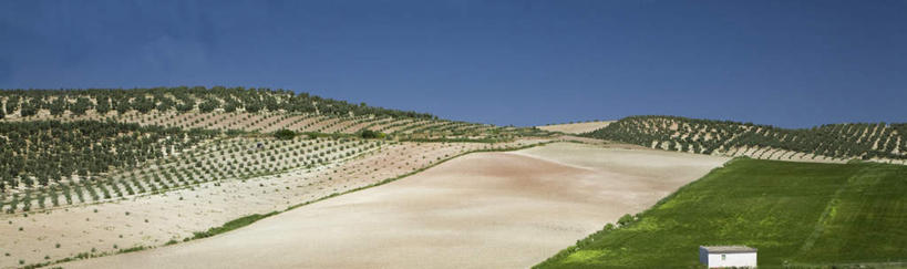 无人,果园,横图,全景,俯视,室外,白天,旅游,度假,石头,美景,山,山脉,天际线,田园,植物,水果,西班牙,欧洲,一排,阴影,新鲜,整齐,并列,并排,光线,石子,影子,景观,山顶,山峰,生食,食品,果实,果树,山峦,娱乐,安达卢西亚,树,树木,食物,排列,蓝色,绿色,蓝天,天空,阳光,自然,群山,天,享受,休闲,景色,放松,有机食品,绿色食品,生长,晴朗,成长,队列,南欧,自然风光,安达鲁西亚,平行,沉积岩,万里无云,田庄,西班牙王国,橄榄树,安达卢西亚自治区,颠峰,极峰,齐墩果,油橄榄,园子,水成岩,石块,岩石,晴空,晴空万里,彩图,高角度拍摄