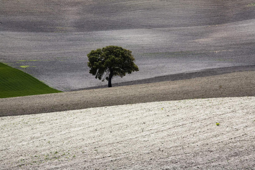 无人,农田,横图,室外,白天,正面,旅游,度假,庄稼,农作物,草地,草坪,石头,美景,山,山脉,植物,西班牙,欧洲,石子,景观,山顶,山峰,乌云,云,阴天,云朵,山峦,云彩,娱乐,安达卢西亚,草,树,树木,绿色,天空,自然,群山,天,享受,休闲,景色,放松,生长,成长,昏暗,阴沉,南欧,自然风光,安达鲁西亚,沉积岩,西班牙王国,安达卢西亚自治区,颠峰,极峰,水成岩,石块,岩石,彩图,耕地,庄稼田