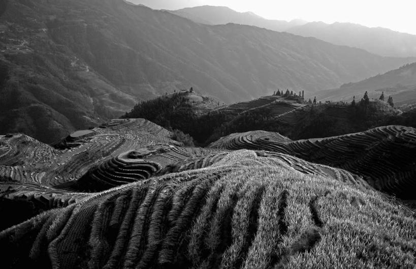 无人,农田,横图,俯视,航拍,室外,白天,旅游,度假,庄稼,梯田,农作物,石头,美景,森林,山,山脉,树林,植物,曲折,弯曲,石子,景观,山顶,山峰,乌云,云,阴天,云朵,山峦,云彩,娱乐,树,树木,绿色,天空,自然,群山,天,享受,休闲,景色,放松,蜿蜒,生长,成长,昏暗,阴沉,鸟瞰,自然风光,沉积岩,颠峰,极峰,水成岩,石块,岩石,彩图,高角度拍摄,耕地,庄稼田