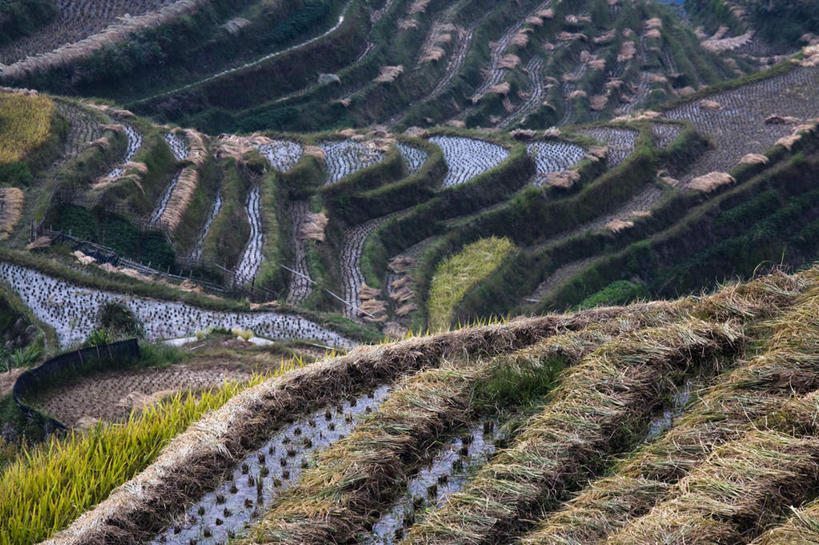 无人,农田,横图,俯视,航拍,室外,白天,旅游,度假,庄稼,梯田,农作物,石头,美景,森林,山,山脉,树林,植物,曲折,弯曲,石子,景观,山顶,山峰,山峦,娱乐,树,树木,绿色,自然,群山,享受,休闲,景色,放松,蜿蜒,生长,成长,鸟瞰,自然风光,沉积岩,颠峰,极峰,水成岩,石块,岩石,彩图,高角度拍摄,耕地,庄稼田