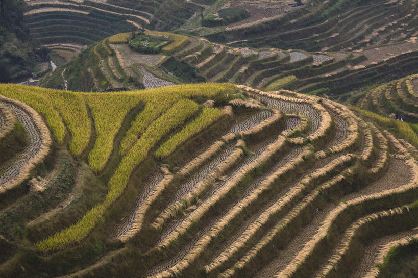 无人,农田,横图,俯视,航拍,室外,白天,旅游,度假,庄稼,梯田,农作物,石头,美景,森林,山,山脉,树林,植物,曲折,弯曲,石子,景观,山顶,山峰,山峦,娱乐,树,树木,绿色,自然,群山,享受,休闲,景色,放松,蜿蜒,生长,成长,鸟瞰,自然风光,沉积岩,颠峰,极峰,水成岩,石块,岩石,彩图,高角度拍摄,耕地,庄稼田